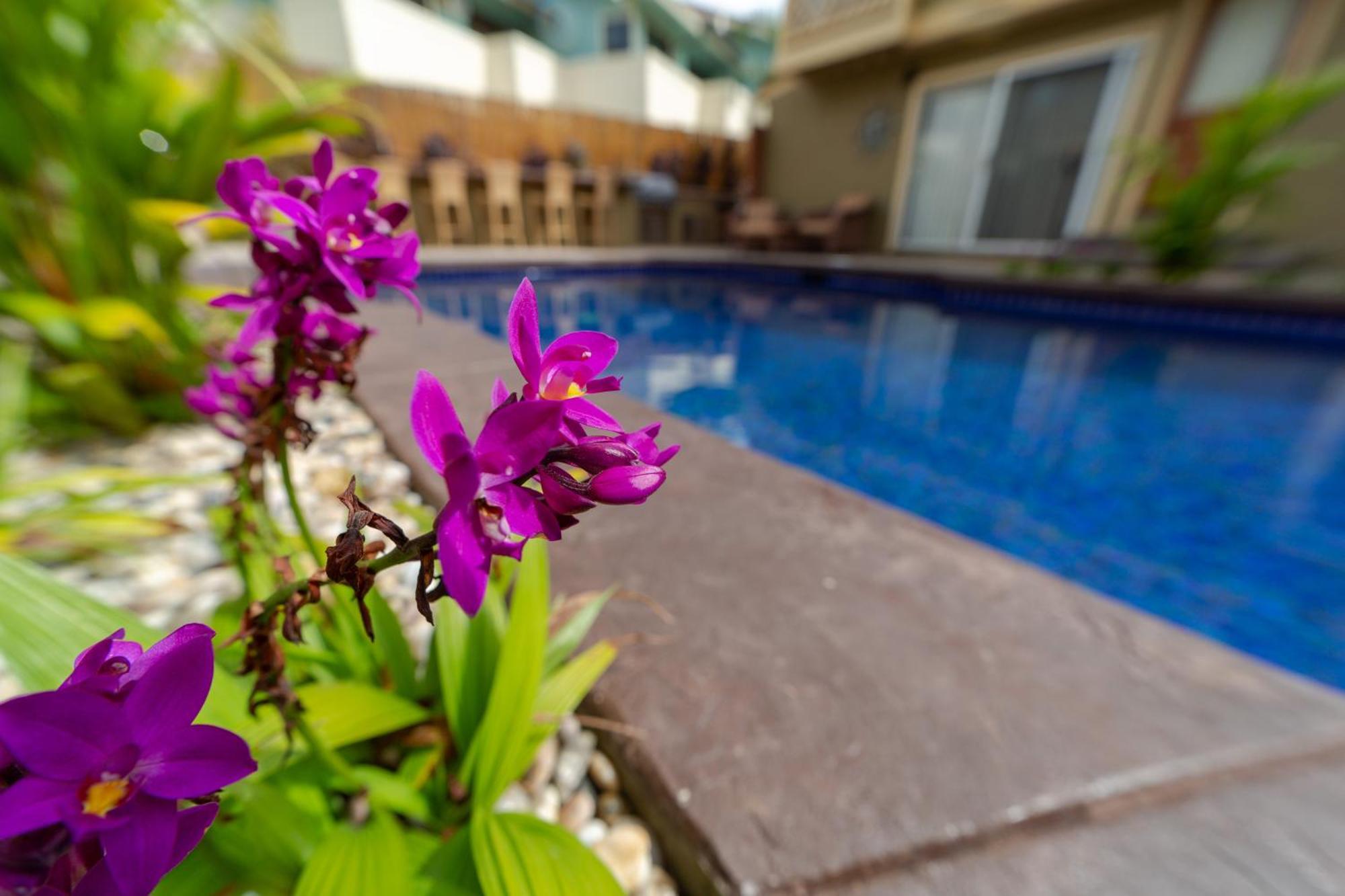 Bamboo Suite, 1 Bedroom, Sleeps 4, Pool & Bbq, Pre-Renovation Summer Sale Кихеи Екстериор снимка